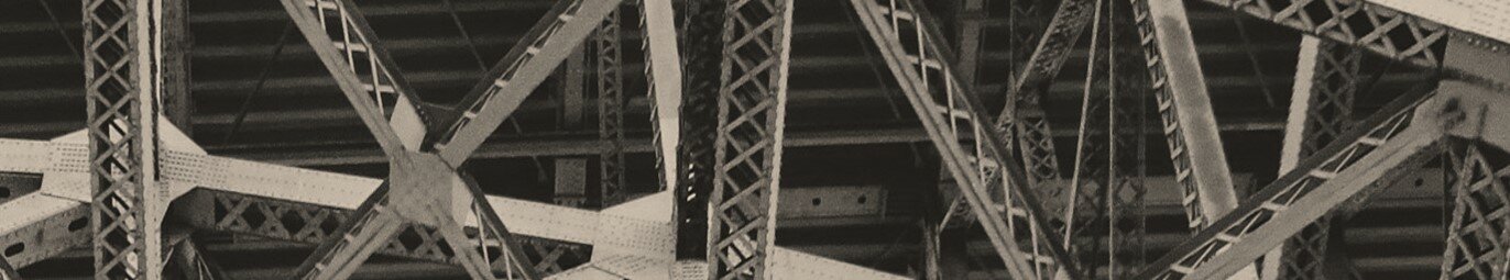 #caption2 Entrevista a Albino Rubim (UFBA)